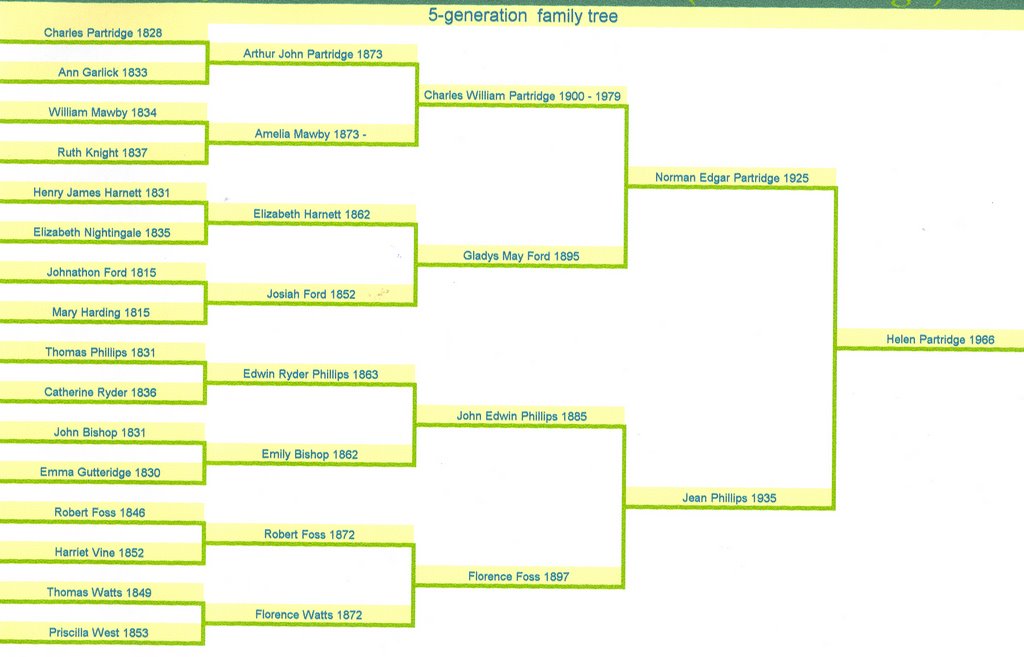 partridge family tree generations family tree